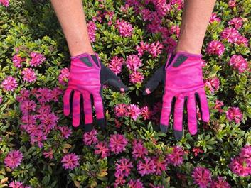 speikboden-daimerweg-19-06-18