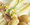 rezept-spargel-mit-bozner-sauce