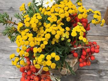 speikboden-treyer-alm-daimer-weg-02-08-18