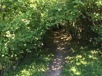 fahrtechnik-rund-um-pfalzen-07-08-1