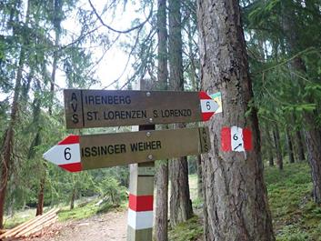 rund-um-pfalzen-irenberg-20-07-18