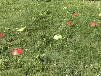 fahrtechnik-rund-tour-pumptrack-16-08-1