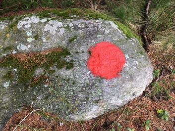 irenberg-hoefe-runde-02-09-18