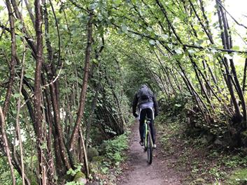 pfalzen-regentour-31-08-18