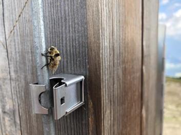 rodeneck-alm-18-07-18