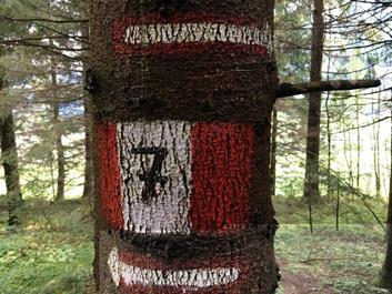 kofler-zwischen-waenden-13-09-1