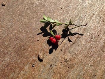 bike-style-freeride-mit-daniel-schaefer-tag-2-speikboden