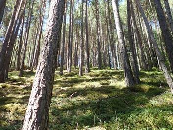 rund-um-pfalzen-17-07-17-1