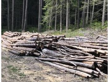 erdpyramiden-lercher-alm-08-08-17