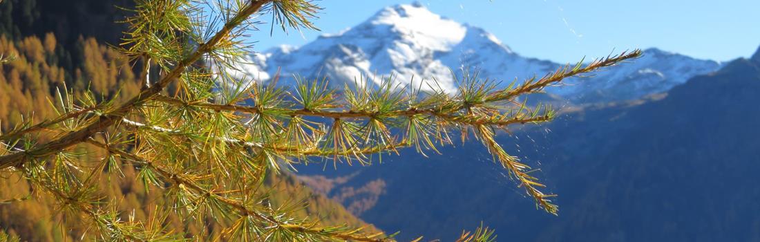 Innerhofer-herbst-in-den-Bergen
