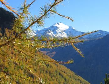 Innerhofer-herbst-in-den-Bergen