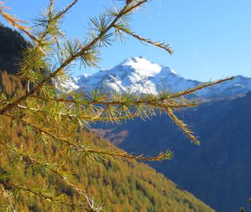 Innerhofer-herbst-in-den-Bergen