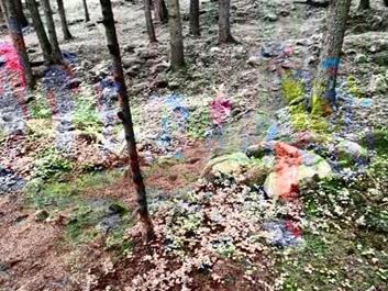 fahrtechnik-maerchenwald-05-06-17