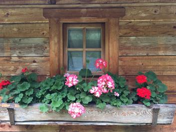 lercher-alm-07-07-18