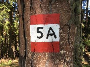 muehlbach-badl-26-05-17