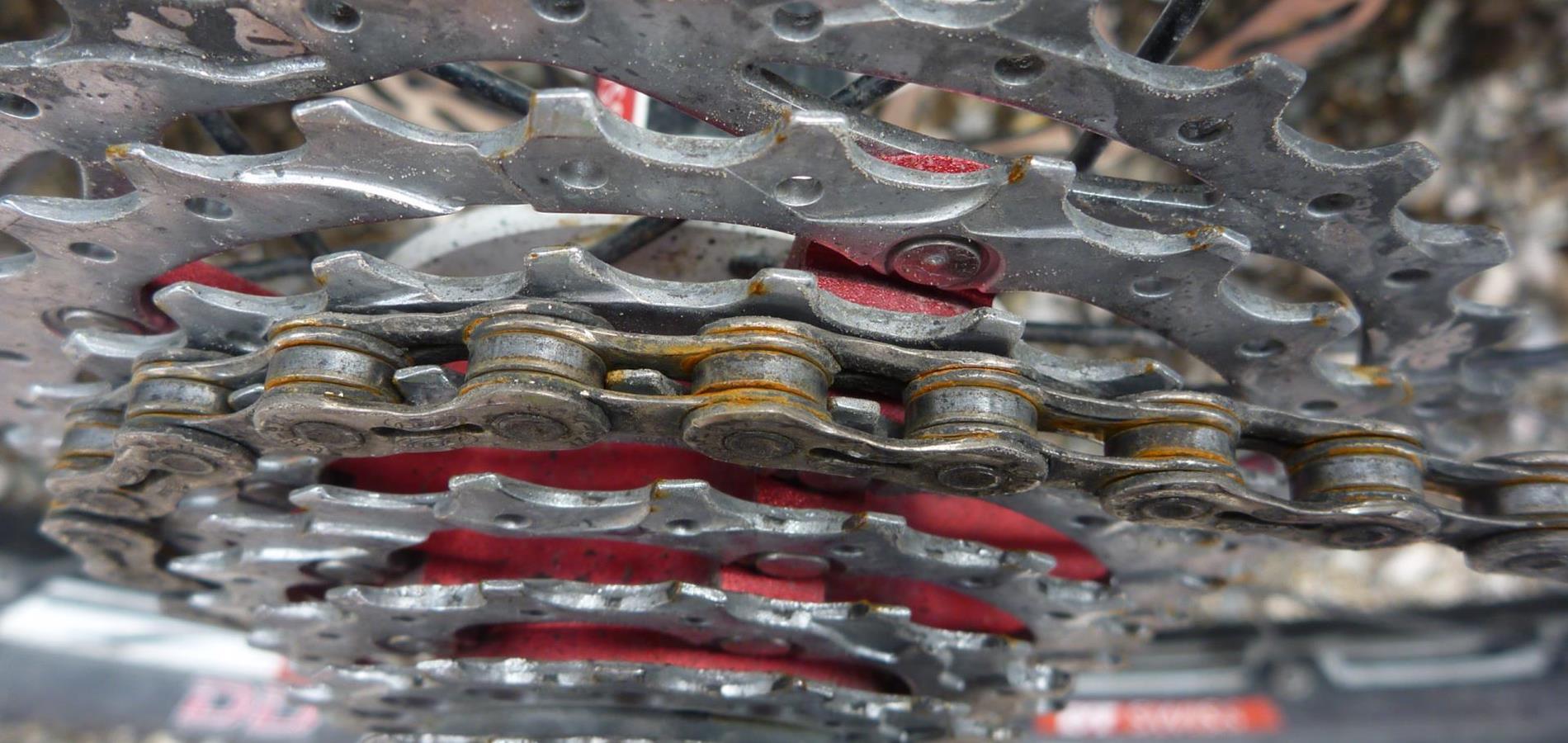 bike-verleih-werkstatt-4