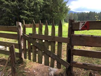 fahrtechnik-irenberg-10-07-17-1