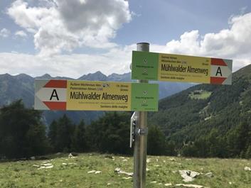 speikboden-weizgruber-alm-21-07-1