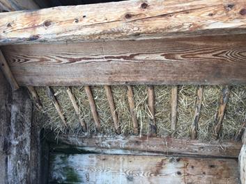 pircher-alm-19-03-17