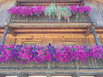 fahrtechnik-irenberg-31-07-1