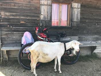 glittner-seen-01-08-26