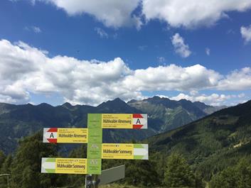 weizgruber-alm-daimerweg-13-07-18