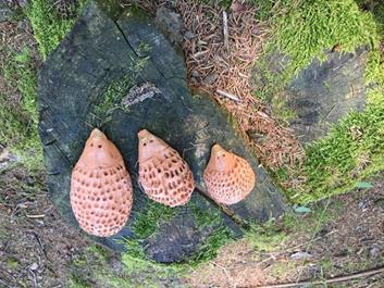 bike-wellness-gourmet-05-07-17-1