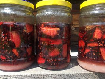 astjoch-waldner-alm-25-07-18