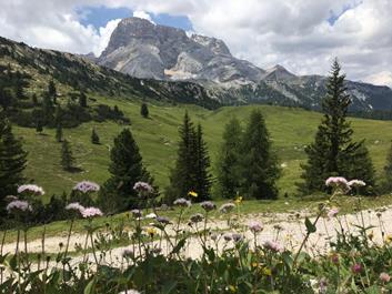 ahornach-zwischen-waenden-04-07-3