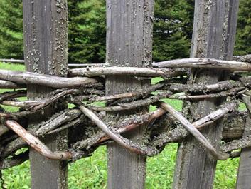 lercher-alm-erdpyramiden-21-06-18