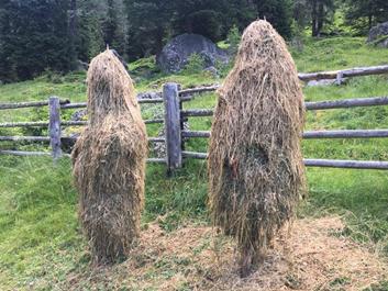lercher-alm-erdpyramiden-21-08-18