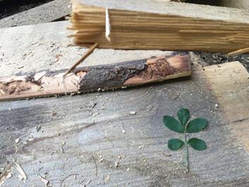 kuehbergl-maria-saalen-26-05-18