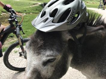 fanes-sennes-runde-23-06-17-1