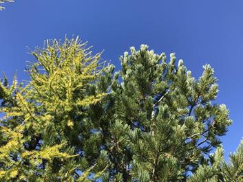 rodeneck-alm-27-09-18