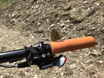 muehlbach-badl-12-07-17-1