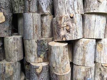 lercher-alm-12-07-18-2