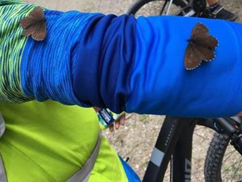 astjoch-rodeneck-alm-28-07-1