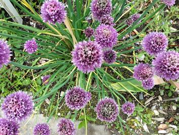 fahrtechnik-irenberg-17-06-16