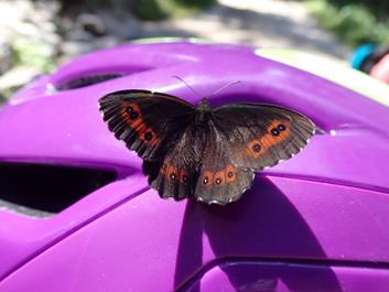 fanes-sennes-19-07-18