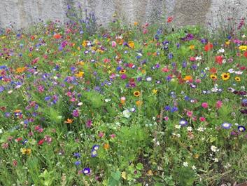 fahrtechnik-rund-um-pfalzen-24-07-1