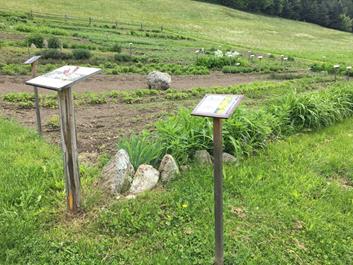 lercher-alm-und-kraeuterhof-17-07-18