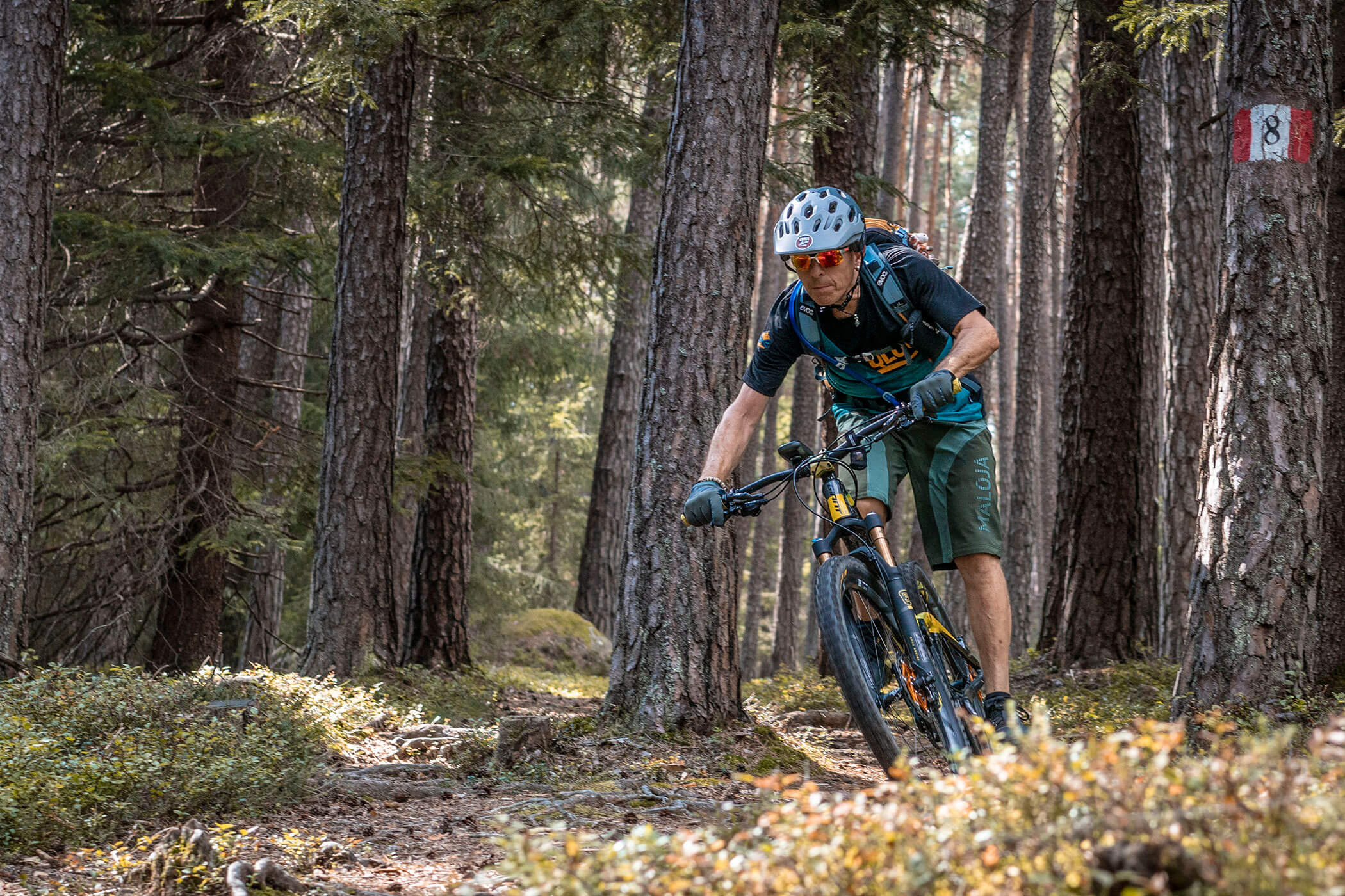Un mountain biker corre in una pineta assolata con un segnavia su un albero. - Hotel Innerhofer