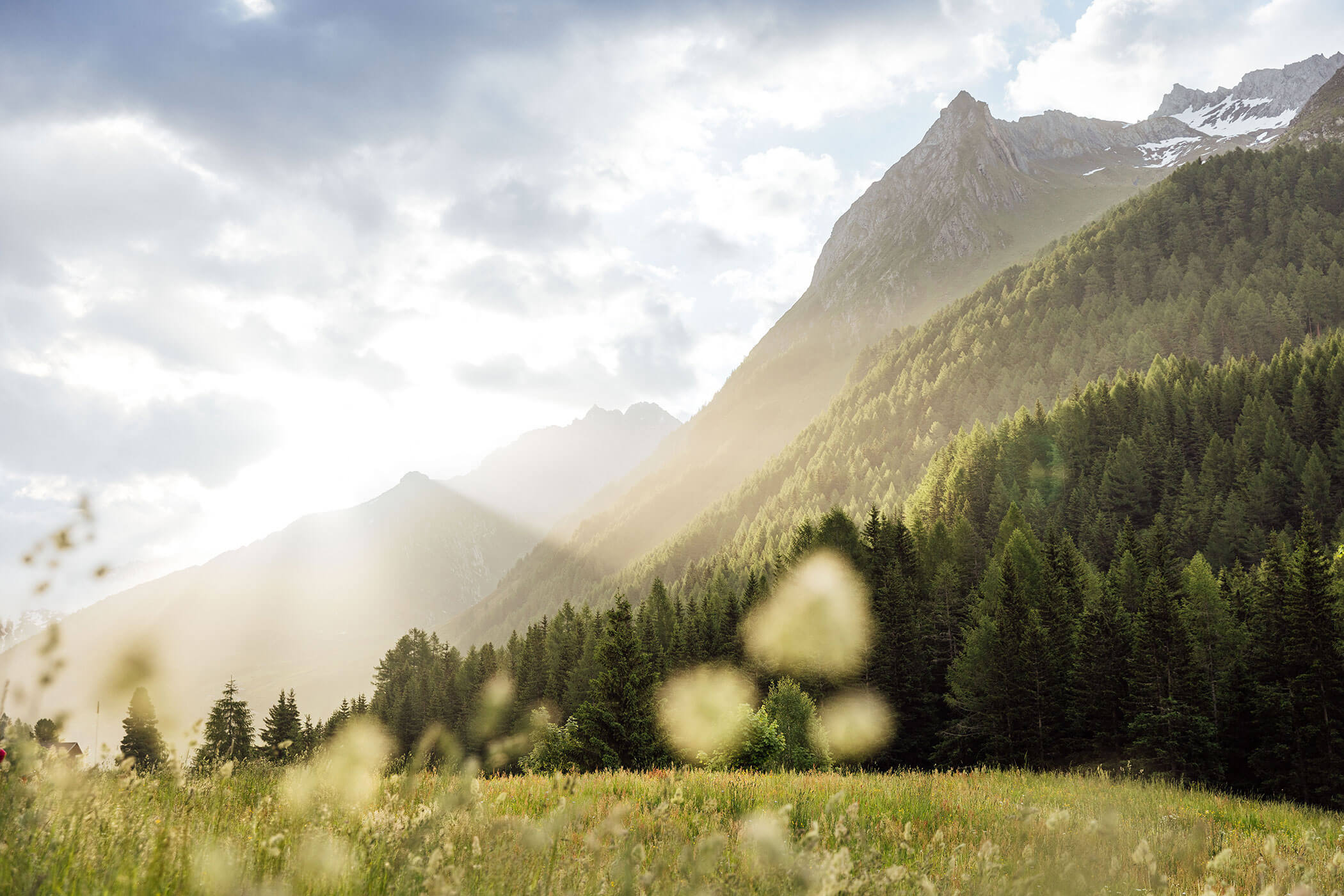 La luce del sole filtra attraverso le nuvole su un pendio boscoso di montagna e su un prato erboso di fiori selvatici. - Hotel Innerhofer