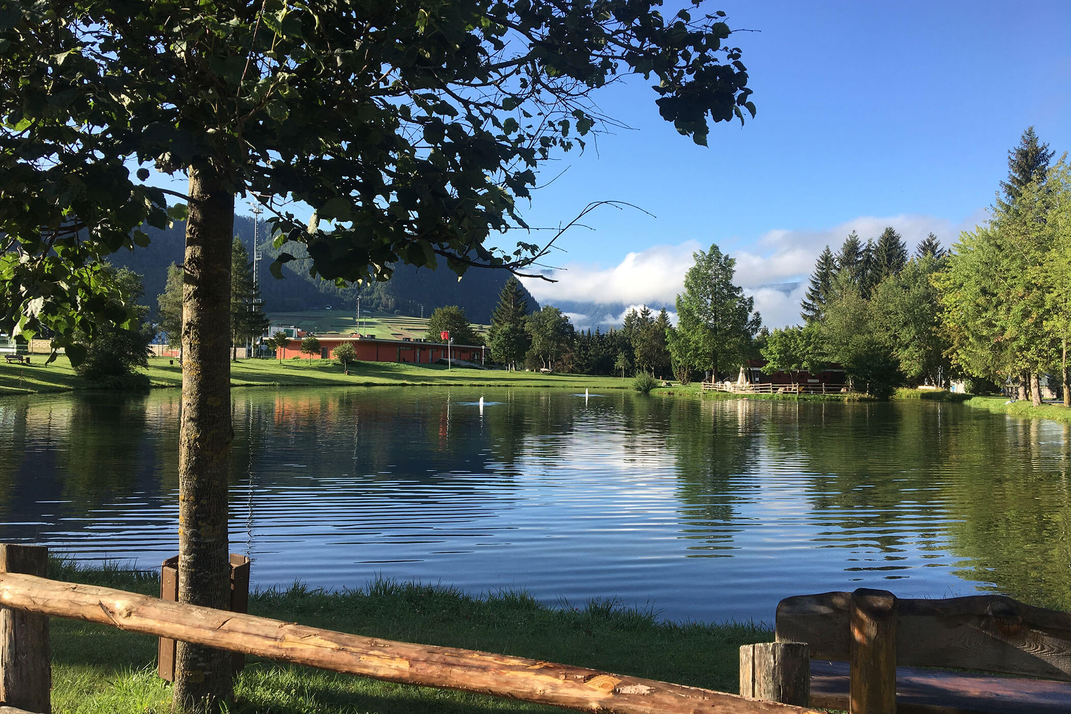 Albero vicino a un lago calmo con riflessi, circondato da erba, edifici e colline boscose sotto un cielo limpido. - Hotel Innerhofer